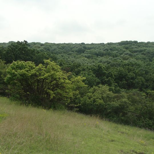 Сарганівський ліс