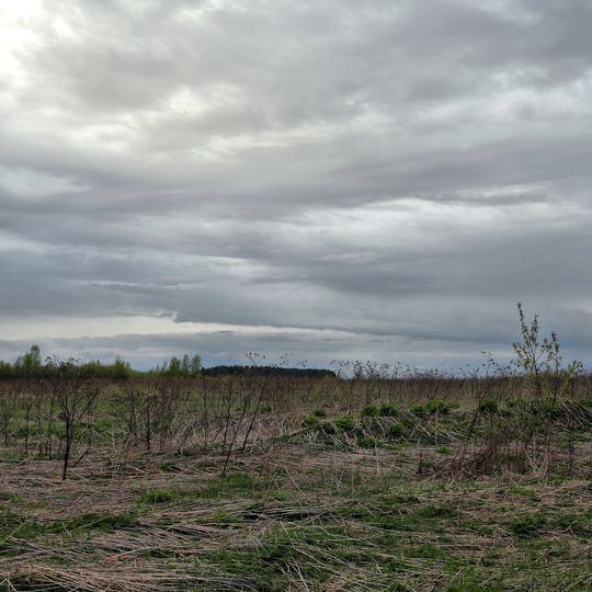«Липецкое поле» — место битвы московского князя Василия II с татарами в 1445 г.