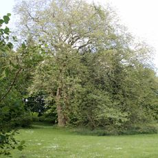 Landschaftspark Hohenstein