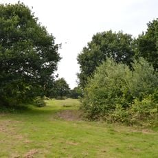 Tiptree Parish Field