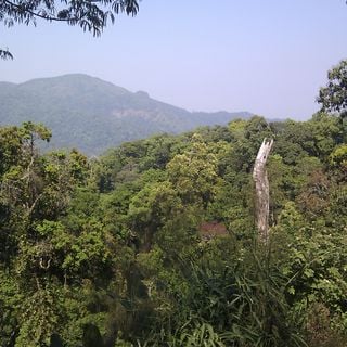 Complexe des forêts de Kaeng Krachan