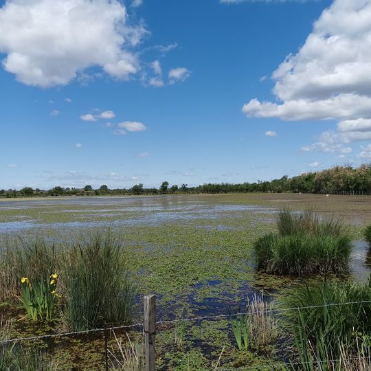 Réserve naturelle nationale des marais du Vigueirat