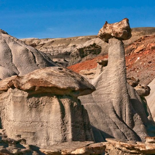 Formação Fruitland