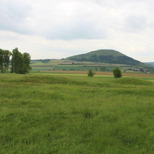 Meisterstaller Heide