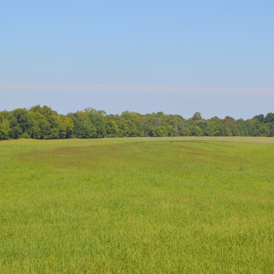 Wade Archeological Site