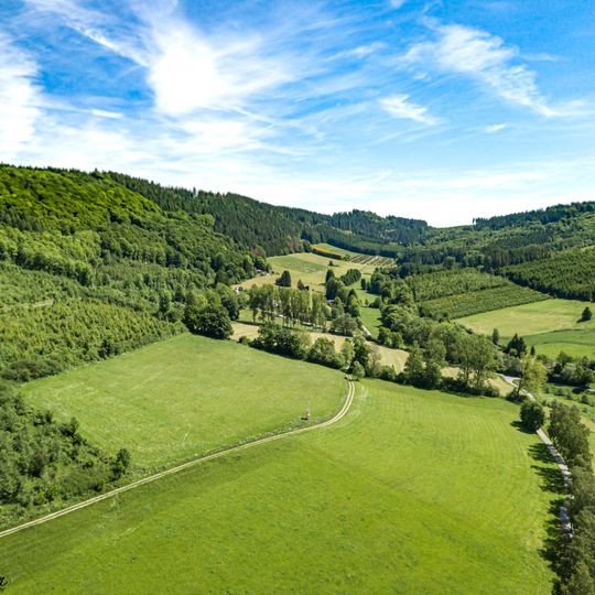 LSG-Offenlandschaftskomplex Olsberg-Ost <Typ B>