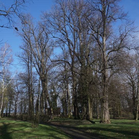 Zámecký park Medlešice