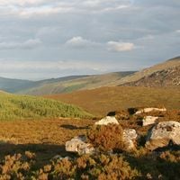 Wicklow