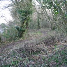 Ileden and Oxenden Woods