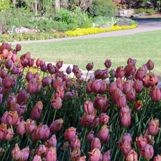 Jardines del Bosque Garvan