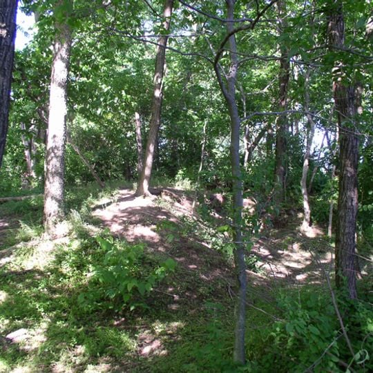 Rowlandton Mound Site