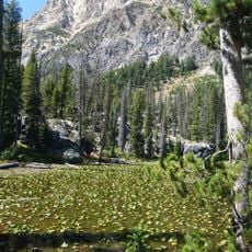 Lily Lake
