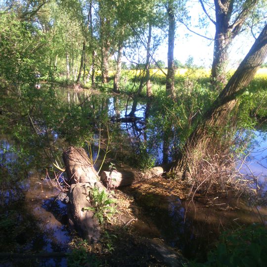 Orrer Wald und Große Laache