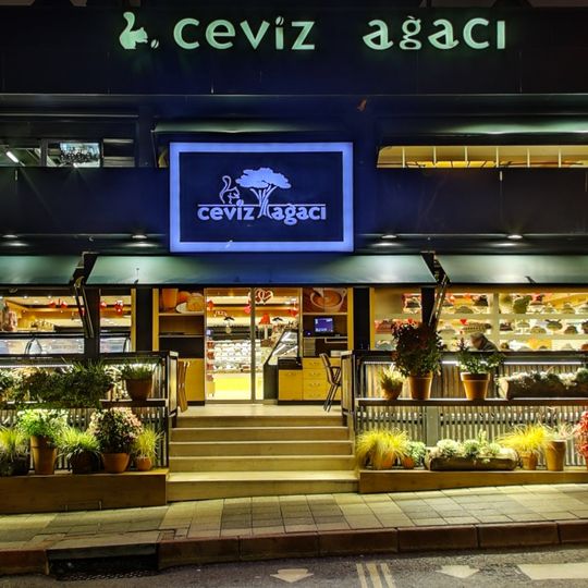 Ceviz Ağacı