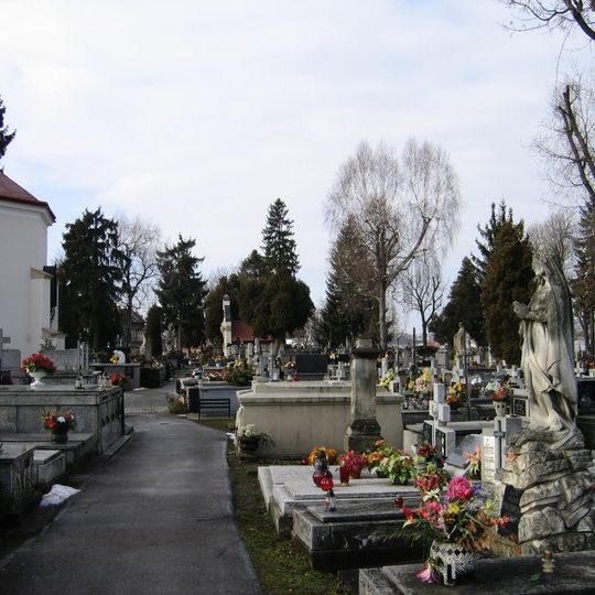 Old Cemetery in Jasło