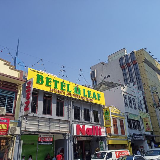 Betel Leaf