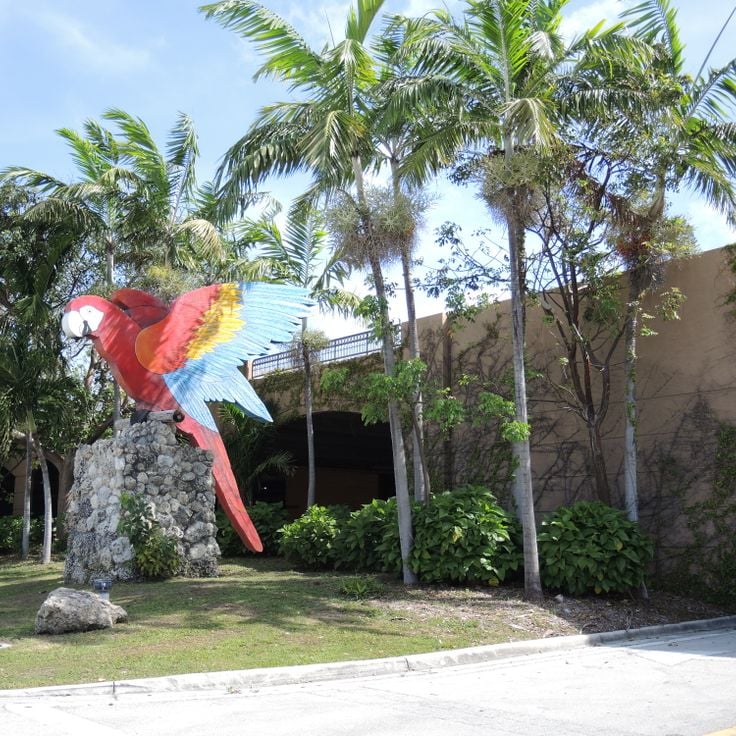 Jungle Island