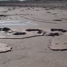 Réserve naturelle Pehuen-Có - Monte Hermoso