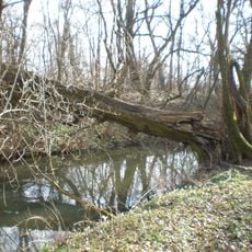 Biela voda (rameno Malého Dunaja)