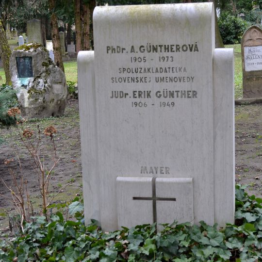 Ev. cintorín Kozia brána, hrob s náhrobníkom