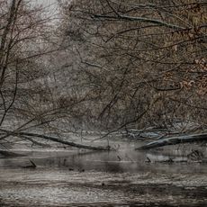 Boschi della Fagiana