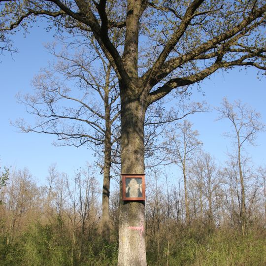 Tree shrine Gemeindeleiten