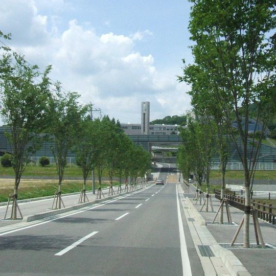 International Pacific University