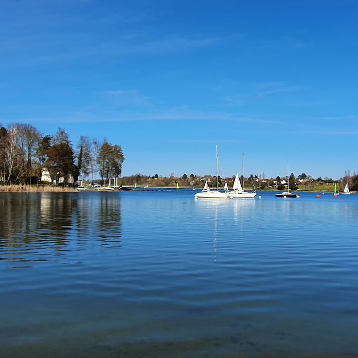Lac des Bretonnières