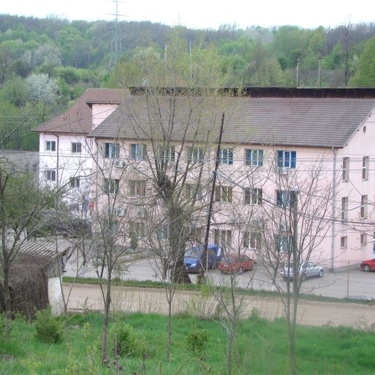 Cătunele