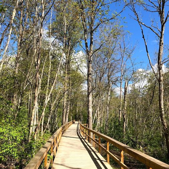 Vårdsätra naturpark