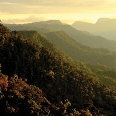 Cordillera Azul National Park