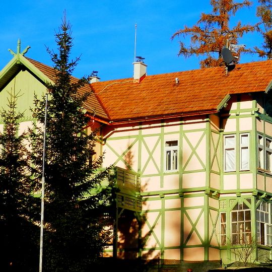 Vila Ilona, vila Degenfeldovcov