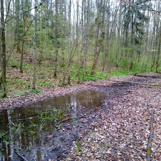 Naturdenkmal Feuchtgebiet an der Keltenschanze Gemeindewald Distr. II, Gelbrunn