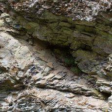 Straßenaufschluss Thiemitzwand NW von Schwarzenbach a. W.