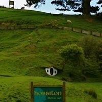 Waikato Bölgesi