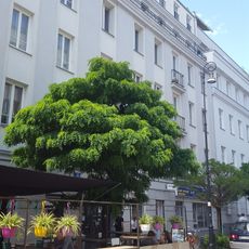 11 Poznańska Street in Warsaw