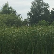 Bovenwijde 2,  8355BR  Giethoorn