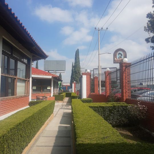 La Ranita Tapatía