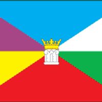 Сільське поселення Пестриківське