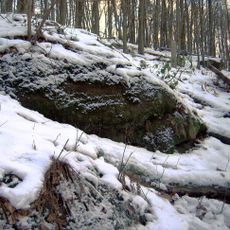 Ritterstein 209 "Rodalb Ursprung"