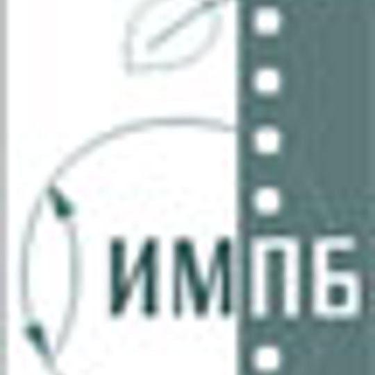 Institute of Mathematical Problems of Biology