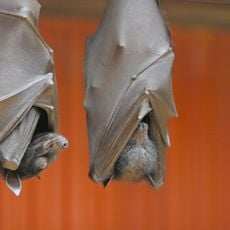 Columbus Zoo and Aquarium