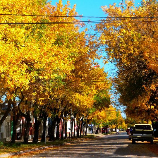 Dipartimento di General Obligado