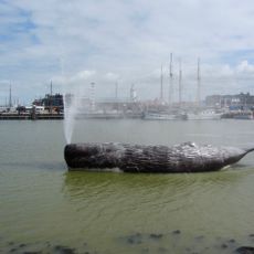 The Whale