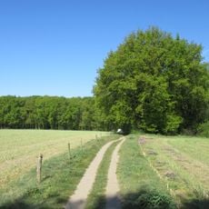Donderberg