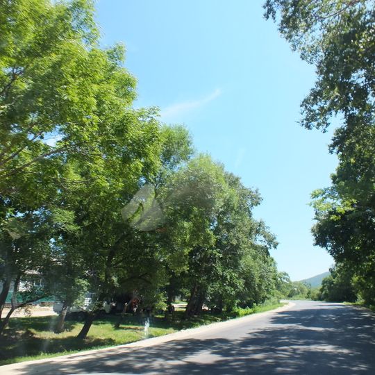 Vetka Primorskiy kray