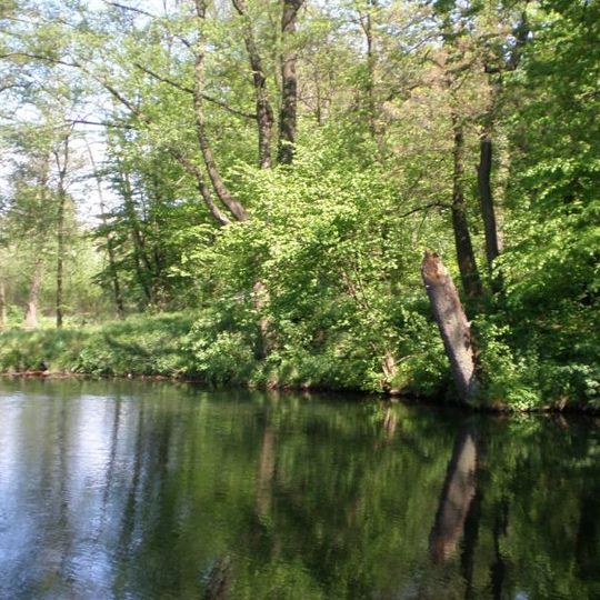 Park pałacowy, XVIII/XIX