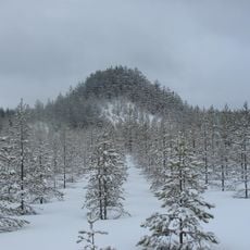 Tree Mountain