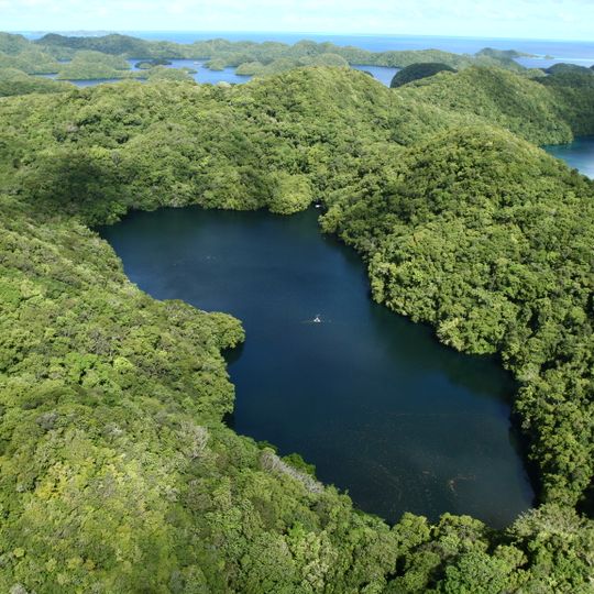 Jellyfish Lake
