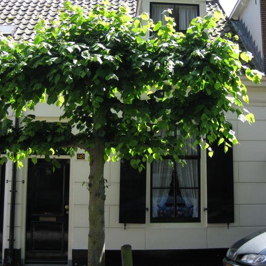 Lage gepleisterde huisjes